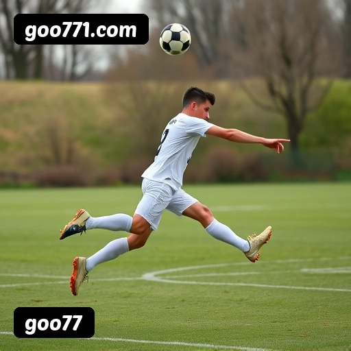 goo77 APP mobile iOS Android - 187 mil downloads São Paulo Rio BH